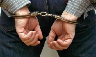 4 ΣΥΛΛΗΨΕΙΣ ΣΤΗ ΘΕΣΣΑΛΙΑ ΓΙΑ ΝΑΡΚΩΤΙΚΑ – ΜΙΑ ΕΚΡΙΖΩΣΗ ΠΡΩΙΜΩΝ ΔΕΝΔΡΥΛΛΙΩΝ