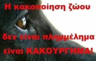 245 ΔΙΚΟΓΡΑΦΙΕΣ, 53 ΣΥΛΛΗΨΕΙΣ ΚΑΙ 282 ΠΡΟΣΤΙΜΑ 1 ΕΚ. € ΓΙΑ ΚΑΚΟΠΟΙΗΣΕΙΣ ΖΩΩΝ ΣΕ ΟΛΗ ΤΗΝ ΕΛΛΑΔΑ ΣΕ 45 ΗΜΕΡΕΣ