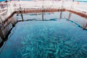 ΜΈΧΡΙ 29/5 ΟΙ ΑΙΤΉΣΕΙΣ ΈΝΤΑΞΗΣ ΣΕ ΕΠΕΝΔΥΤΙΚΆ ΣΧΈΔΙΑ ΤΟΥ Ε.Π.Α.Λ. 2007-2013