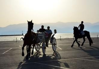 ΤΡΑΓΩΔΙΑ: ΝΕΚΡΟ 8ΧΡΟΝΟ ΚΟΡΙΤΣΑΚΙ ΠΟΥ ΕΠΕΒΑΙΝΕ ΣΕ ΑΜΑΞΑ ΠΟΥ ΑΝΑΤΡΑΠΗΚΕ