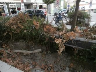ΒΑΣΑΝΙΣΜΕΝΟΣ ΑΓΩΝΙΣΤΗΣ, «ΒΑΣΑΝΙΣΜΕΝΗ» ΚΑΙ Η ΠΛΑΤΕΙΑ!