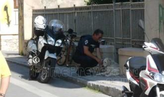 Η ΕΥΑΙΣΘΗΣΙΑ ΚΑΤΩ ΑΠΟ ΤΗΝ ΣΤΟΛΗ