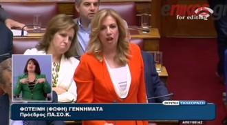 ΟΙ ΓΚΡΙΜΑΤΣΕΣ ΚΑΙ ΟΙ ΧΕΙΡΟΝΟΜΙΕΣ ΤΗΣ ΧΡΙΣΤΟΦΙΛΟΠΟΥΛΟΥ ΕΚΛΕΨΑΝ ΤΗΝ ΠΑΡΑΣΤΑΣΗ ΧΘΕΣ ΣΤΗ ΒΟΥΛΗ