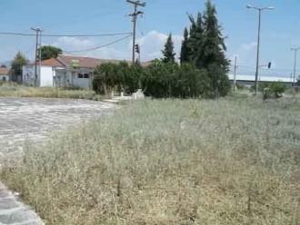 ΤΥΡΝΑΒΟΣ ΜΕ ΣΗΜΑ ΤΑ ΧΟΡΤΑΡΙΑ…