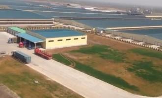 ΓΙΓΑΝΤΙΑΙΑ ΦΑΡΜΑ ΜΕ 100.000 ΑΓΕΛΑΔΕΣ ΦΤΙΑΧΝΟΥΝ ΚΙΝΕΖΟΙ ΚΑΙ ΡΩΣΟΙ