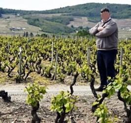 ΦΥΛΑΝΕ ΣΚΟΠΙΑ ΣΤΑ ΑΜΠΕΛΙΑ ΤΟΥΣ ΟΙ ΤΥΡΝΑΒΙΤΕΣ ΑΓΡΟΤΕΣ!!!