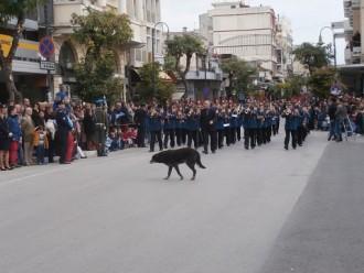 ΦΙΛΟΜΟΥΣΟΣ ΣΚΥΛΟΣ!