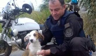 Ο ΑΣΤΥΝΟΜΙΚΟΣ ΥΙΟΘΕΤΗΣΕ ΤΟΝ ΣΚΥΛΟ ΠΟΥ ΒΡΗΚΕ ΝΑ ΤΡΕΧΕΙ ΣΤΗΝ ΕΘΝΙΚΗ ΟΔΟ