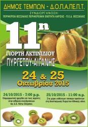 ΓΙΟΡΤΗ ΑΚΤΙΝΙΔΙΟΥ ΣΕ ΠΥΡΓΕΤΟ – ΑΙΓΑΝΗ