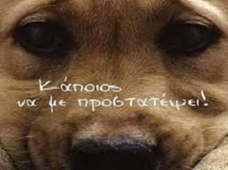 ΣΥΝΕΧΕΙΑ ΣΤΟ «ΕΡΓΟ»  ΜΕ ΤΙΣ ΦΟΛΕΣ ΣΤΗ ΛΑΡΙΣΑ