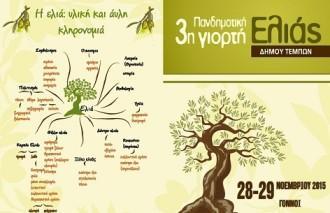 ΔΙΗΜΕΡΗ ΓΙΟΡΤΗ ΕΛΙΑΣ ΣΤΟΥΣ ΓΟΝΝΟΥΣ