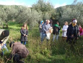 ΕΙΚΟΝΕΣ ΑΠΟ ΜΙΑ ΠΡΩΤΟΤΥΠΗ ΕΚΔΗΛΩΣΗ ΤΟΥ ΕΞΩΡΑΙΣΤΙΚΟΥ ΣΥΛΛΟΓΟΥ ΤΣΑΡΙΤΣΑΝΗΣ