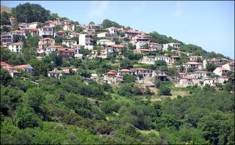 ΗΜΕΡΙΔΑ ΓΙΑ ΤΗΝ ΠΡΟΣΤΑΣΙΑ ΤΟΥ ΔΑΣΟΥΣ ΤΗΣ ΡΑΨΑΝΗΣ
