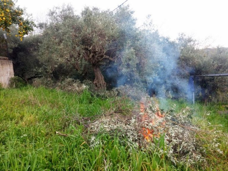 ΕΠΕΙΣΟΔΙΟ ΕΞΩ ΑΠΟ ΤΟΝ ΑΜΠΕΛΩΝΑ ΜΕ ΑΦΟΡΜΗ ΤΗΝ ΚΑΥΣΗ ΞΕΡΟΧΟΡΤΩΝ