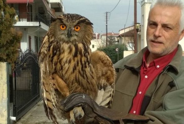 ΛΑΡΙΣΑΙΟΙ ΔΙΕΣΩΣΑΝ ΒΑΣΙΛΙΚΟ ΜΠΟΥΦΟ
