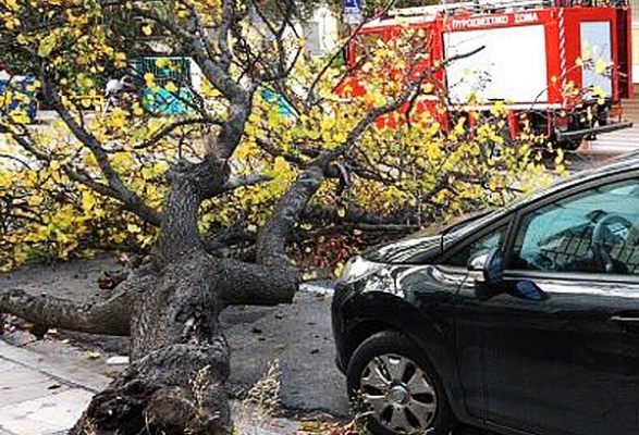 ΚΟΠΕΣ ΔΕΝΤΡΩΝ ΛΟΓΩ ΤΟΥ ΑΕΡΑ ΣΤΗ ΛΑΡΙΣΑ