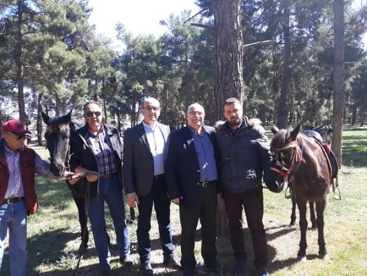 Η ΔΡΑΣΗ ΠΟΛΙΤΩΝ ΘΑ ΑΝΑΒΙΩΣΕΙ ΤΗΝ ΙΠΠΙΚΗ ΚΟΥΛΤΟΥΡΑ ΣΤΟΝ ΤΥΡΝΑΒΟ