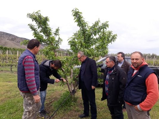 ΑΥΤΟΨΙΑ ΤΟΥ ΕΛΓΑ ΣΤΙΣ ΧΑΛΑΖΟΠΛΗΚΤΕΣ ΚΑΛΛΙΕΡΓΕΙΕΣ ΤΟΥ ΑΡΓΥΡΟΠΟΥΛΙΟΥ