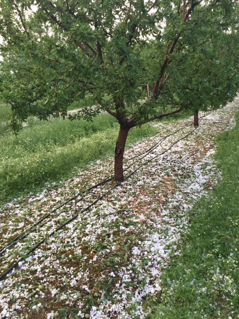 ΚΑΤΑΣΤΡΟΦΕΣ ΑΠΟ ΧΑΛΑΖΙ ΣΤΗ ΔΕ ΠΛΑΤΥΚΑΜΠΟΥ ΤΟΥ ΔΗΜΟΥ ΚΙΛΕΛΕΡ