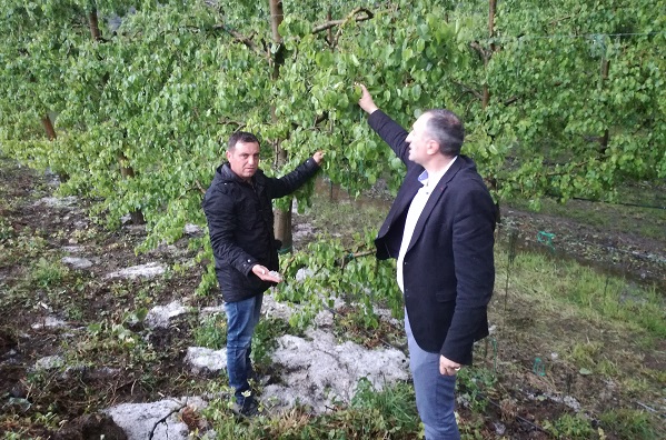 ΚΟΝΤΑ ΣΤΟΥΣ ΠΛΗΓΕΝΤΕΣ ΑΓΡΟΤΕΣ Ο ΓΙΑΝΝΗΣ ΚΟΚΟΥΡΑΣ