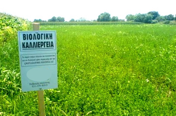 ΕΠΙΠΛΕΟΝ ΧΡΗΜΑΤΟΔΟΤΗΣΗ 80 ΕΚΑΤ. ΕΥΡΩ ΓΙΑ ΤΗ ΒΙΟΛΟΓΙΚΗ ΓΕΩΡΓΙΑ