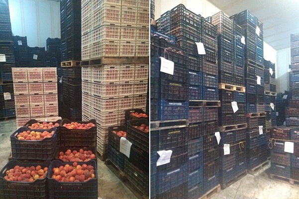 ΚΡΑΥΓΗ ΑΠΟΓΝΩΣΗΣ ΤΩΝ ΡΟΔΑΚΙΝΟΠΑΡΑΓΩΓΩΝ ΠΟΥ ΔΕΝ ΜΠΟΡΟΥΝ ΝΑ ΠΟΥΛΗΣΟΥΝ ΤΗ ΣΟΔΕΙΑ ΤΟΥΣ