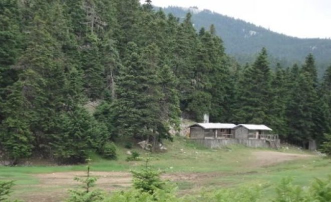 ΕΠΙΛΥΕΤΑΙ ΜΕ ΡΥΘΜΙΣΗ ΤΟ ΠΡΟΒΛΗΜΑ ΜΕ ΤΟΥΣ ΔΑΣΩΜΕΝΟΥΣ ΑΓΡΟΥΣ
