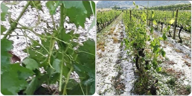 Α.Σ. ΔΑΜΑΣΙΟΥ: ΝΑ ΚΗΡΥΧΤΕΙ Η ΠΕΡΙΟΧΗΣ ΜΑΣ ΧΑΛΑΖΟΠΛΗΚΤΗ