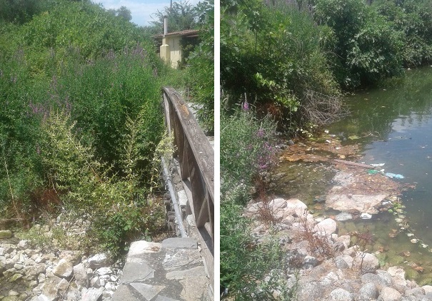 ΖΟΥΓΚΛΑ Η ΒΡΥΣΗ ΤΥΡΝΑΒΟΥ