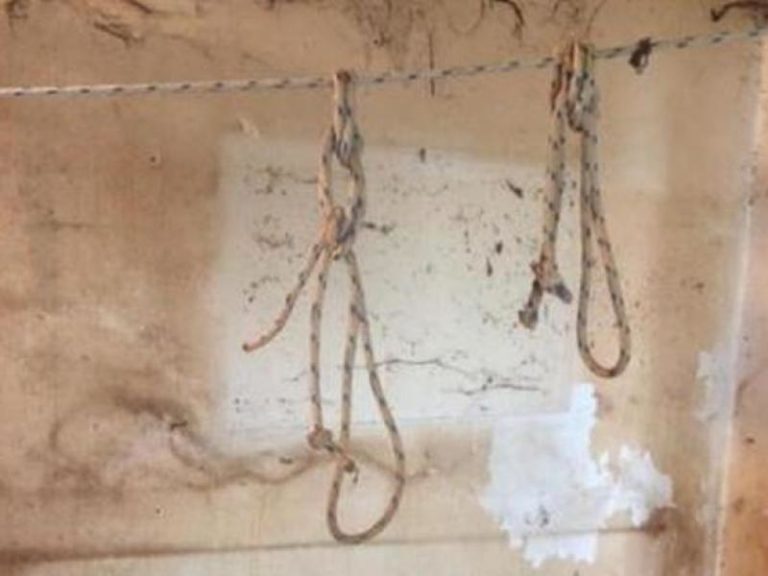 ΑΝΘΡΩΠΟΜΟΡΦΟ ΤΕΡΑΣ ΒΑΣΑΝΙΣΕ ΚΑΙ ΣΚΟΤΩΣΕ ΔΕΚΑΔΕΣ ΣΚΥΛΙΑ ΚΑΙ ΓΑΤΕΣ