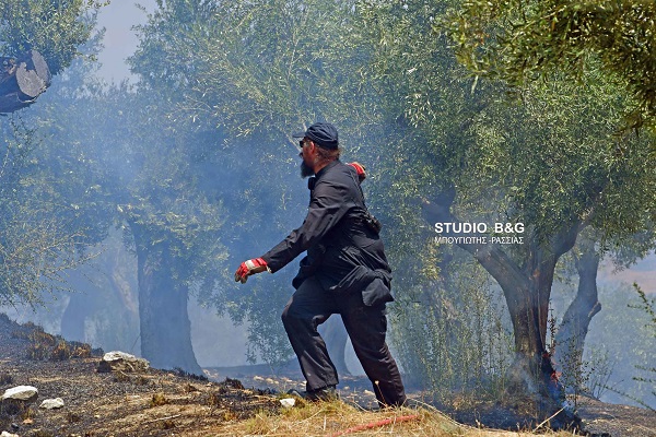 ΠΑΠΑΣ ΣΤΗ ΜΑΧΗ ΜΕ ΤΙΣ ΦΛΟΓΕΣ