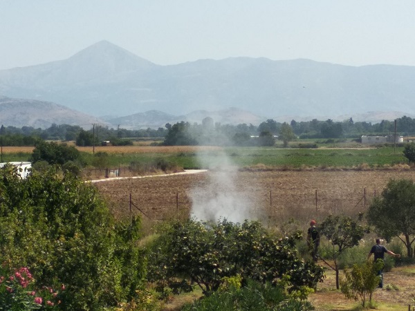 ΦΩΤΙΑ ΣΕ ΞΕΡΟΧΟΡΤΑ ΣΤΗ ΦΑΛΑΝΗ ΚΙΝΗΤΟΠΟΙΗΣΕ ΤΗΝ ΠΥΡΟΣΒΕΣΤΙΚΗ (ΦΩΤΟ)