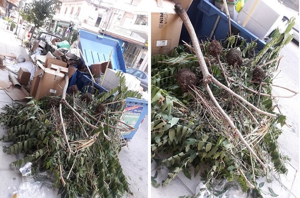 ΕΙΚΟΝΕΣ ΝΤΡΟΠΗΣ ΣΕ ΤΥΡΝΑΒΟ ΚΑΙ ΑΜΠΕΛΩΝΑ