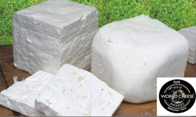 ΧΡΥΣΟ ΒΡΑΒΕΙΟ ΓΙΑ ΤΟ ΤΥΡΟΚΟΜΕΙΟ ΓΚΑΝΑ ΑΠΟ ΤΗ ΛΑΡΙΣΑ ΣΕ ΔΙΕΘΝΗ ΔΙΑΓΩΝΙΣΜΟ