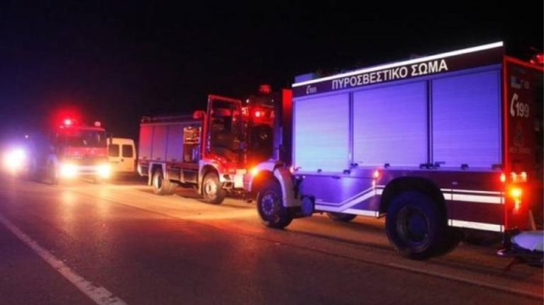 ΣΤΑΧΤΗ ΑΠΟΘΗΚΗ ΞΥΛΕΙΑΣ ΣΤΗΝ ΚΟΙΛΑΔΑ ΛΑΡΙΣΑΣ