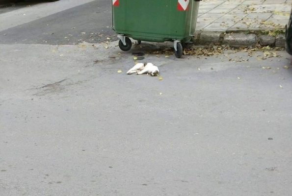 «ΕΣΠΕΙΡΑΝ» ΦΟΛΕΣ ΣΤΟ ΚΕΝΤΡΟ ΤΗΣ ΛΑΡΙΣΑΣ