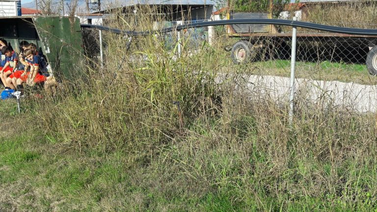 ΤΟΥΣ “ΠΝΙΓΟΥΝ” ΤΑ ΧΟΡΤΑ ΣΤΟ ΒΟΗΘΗΤΙΚΟ ΓΗΠΕΔΟ ΤΟ ΑΜΠΕΛΩΝΑ