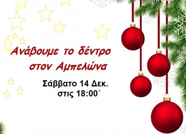 ΣΗΜΕΡΑ ΣΑΒΒΑΤΟ ΑΝΑΒΕΙ ΤΟ ΔΕΝΔΡΟ ΣΤΟΝ ΑΜΠΕΛΩΝΑ