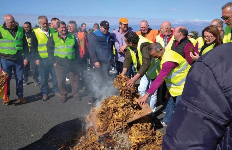ΕΓΓΥΗΜΕΝΕΣ ΤΙΜΕΣ ΣΤΑ ΑΓΡΟΤΙΚΑ ΠΡΟΪΟΝΤΑ ΘΑ ΕΦΑΡΜΟΣΕΙ Η ΙΣΠΑΝΙΑ