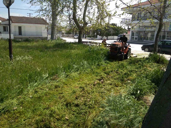 ΦΩΤΟΡΕΠΟΡΤΑΖ ΑΠΟ ΤΟΝ ΕΘΕΛΟΝΤΙΚΟ ΚΑΘΑΡΙΣΜΟ ΠΑΡΚΟΥ ΣΤΟΝ ΑΜΠΕΛΩΝΑ