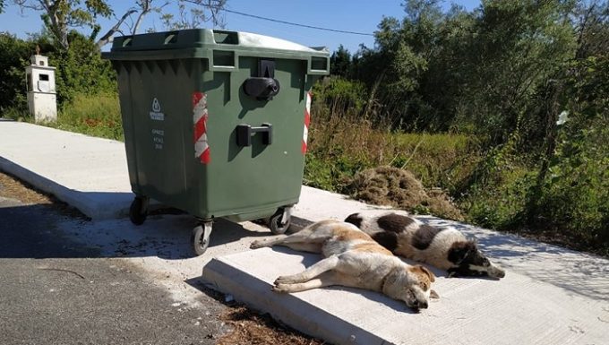 ΝΕΕΣ ΘΑΝΑΤΩΣΕΙΣ ΑΔΕΣΠΟΤΩΝ ΣΤΟΝ ΑΓΙΟΚΑΜΠΟ