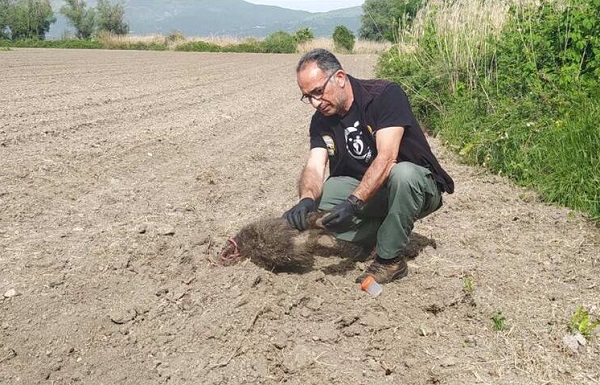 ΣΥΓΚΛΟΝΙΣΤΙΚΟ: ΑΡΚΟΥΔΑ ΕΘΑΨΕ ΤΑ ΜΩΡΑ ΤΗΣ ΠΟΥ ΣΚΟΤΩΘΗΚΑΝ