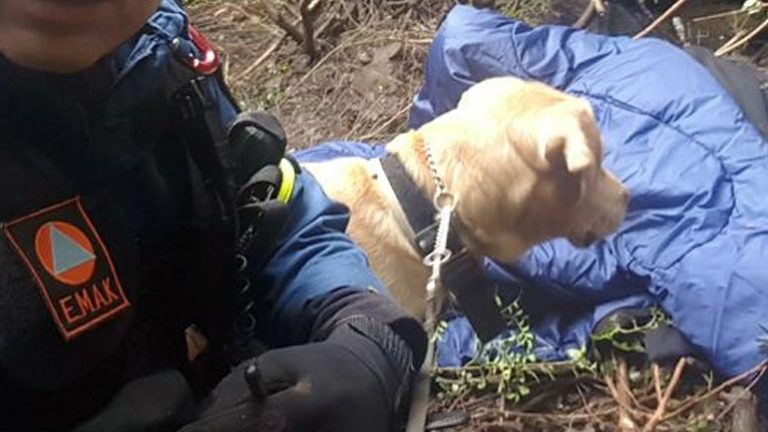ΜΕ ΕΚΠΑΙΔΕΥΜΕΝΟ ΣΚΥΛΟ ΑΝΑΖΗΤΟΥΝ 67ΧΡΟΝΗ ΠΟΥ ΕΞΑΦΑΝΙΣΤΗΚΕ ΑΠΟ ΤΗ ΜΑΝΔΡΑ ΛΑΡΙΣΑΣ