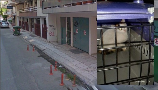 ΑΠΙΣΤΕΥΤΟ! ΠΑΡΕΜΒΑΣΗ ΦΙΛΟΖΩΙΚΗΣ ΣΤΑ ΚΕΝΤΡΙΚΑ ΤOY ΔΕΔΔΗΕ ΓΙΑ ΤΟΝ ΑΠΕΓΚΛΩΒΙΣΜΟ ΖΩΟΥ ΣΤΗ ΛΑΡΙΣΑ