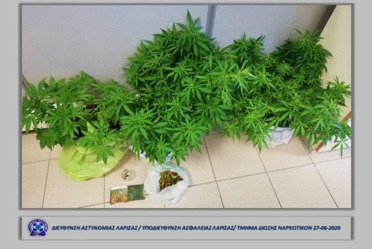2 ΣΥΛΛΗΨΕΙΣ ΓΙΑ ΧΑΣΙΣ ΣΤΗ ΛΑΡΙΣΑ