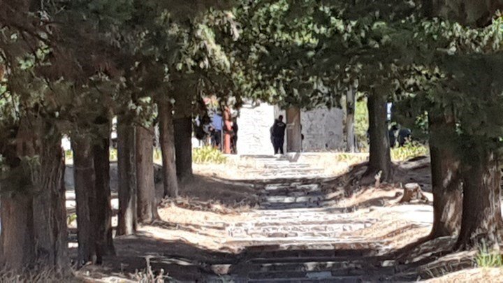 «ΜΙΛΑΝΕ» ΤΑ ΚΙΝΗΤΑ ΓΙΑ ΤΟΝ ΜΥΣΤΗΡΙΩΔΗ ΘΑΝΑΤΟ ΤΗΣ 16ΧΡΟΝΗΣ ΣΤΑ ΤΡΙΚΑΛΑ