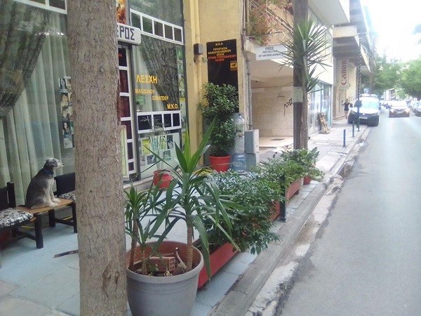 ΠΡΟΣΤΙΜΟ ΓΙΑ… ΖΑΡΝΤΙΝΙΕΡΕΣ ΣΕ ΦΙΛΟΖΩΙΚΗ ΤΗΣ ΛΑΡΙΣΑΣ