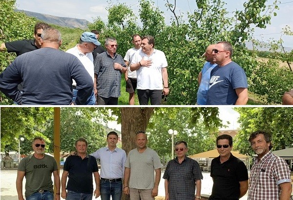 ΣΕ ΔΑΜΑΣΙ ΚΑΙ ΔΕΝΔΡΑ ΚΛΙΜΑΚΙΑ ΤΟΥ ΕΛΓΑ ΚΑΙ ΤΗΣ ΠΕΡΙΦΕΡΕΙΑΣ ΓΙΑ ΤΙΣ ΖΗΜΙΕΣ