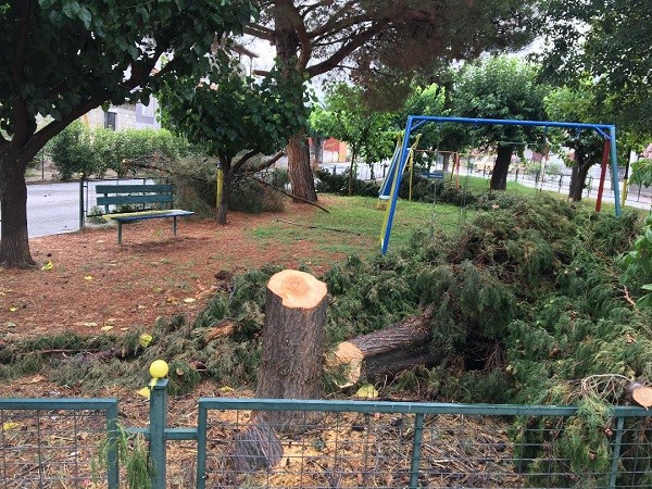 Η ΔΗΜΟΤΙΚΗ ΑΡΧΗ ΚΑΤΑΣΤΡΕΦΕΙ ΤΟ ΦΥΣΙΚΟ ΠΕΡΙΒΑΛΛΟΝ ΣΤΟ ΣΥΚΟΥΡΙΟ