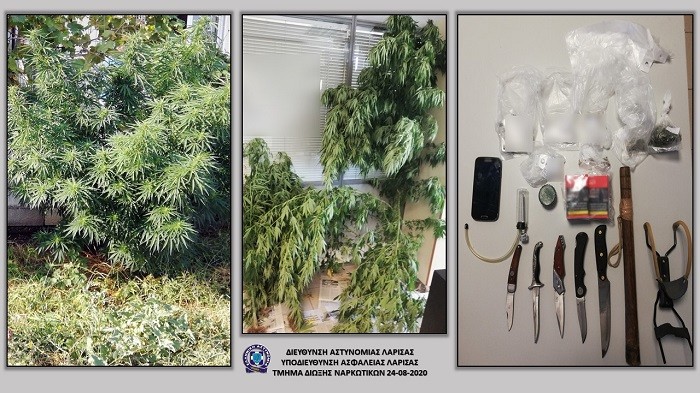 ΜΙΑ ΣΥΛΛΗΨΗ ΣΤΗ ΛΑΡΙΣΑ ΓΙΑ ΧΑΣΙΣ ΚΑΙ ΜΑΧΑΙΡΙΑ
